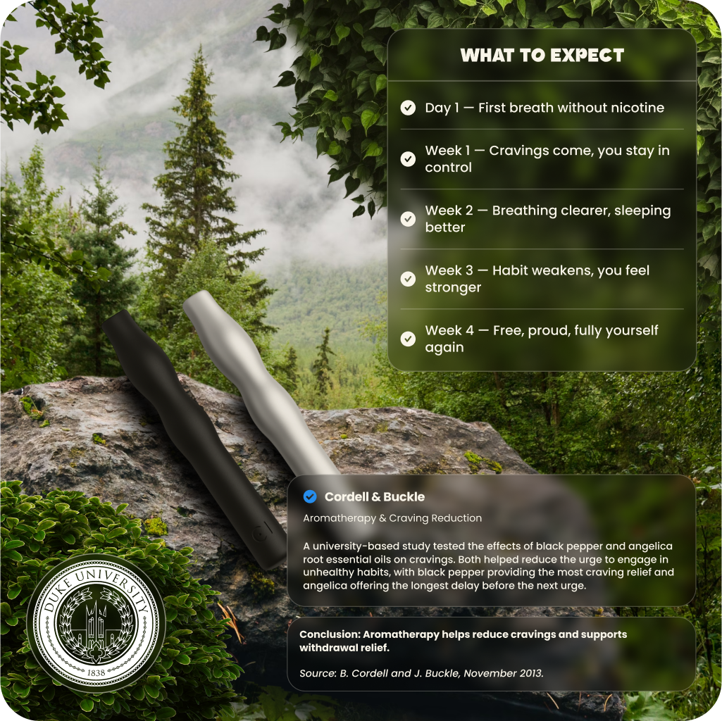 Lio® Journey Pack