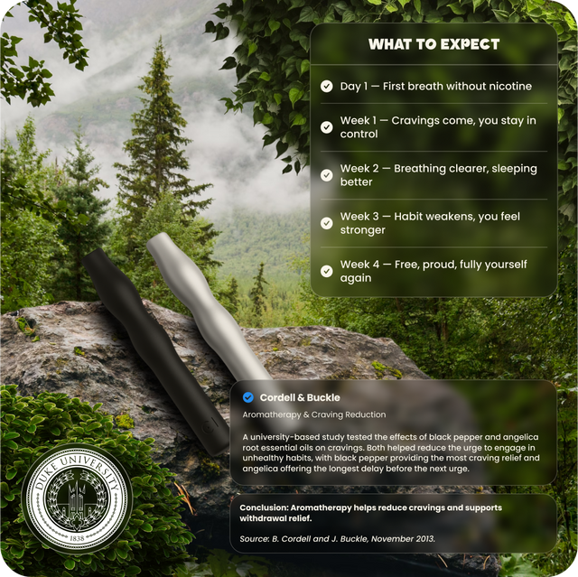 Lio® Journey Pack