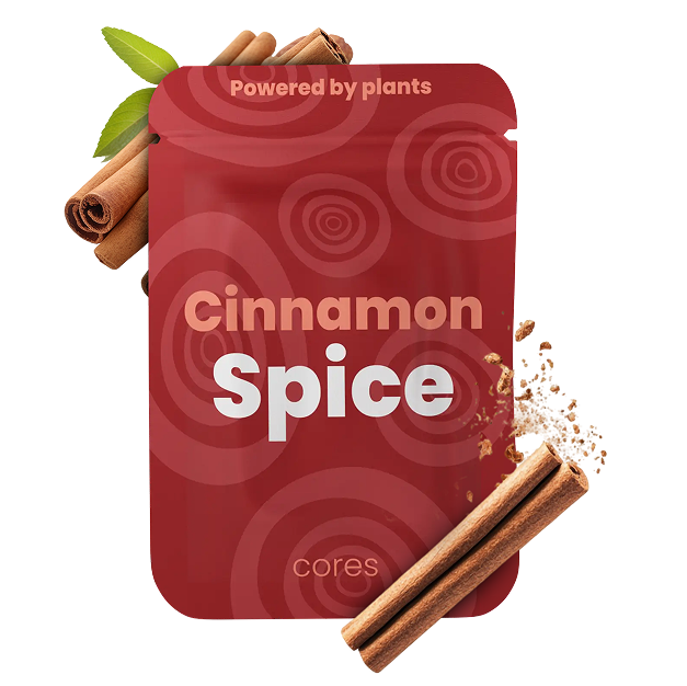 Épice de cannelle