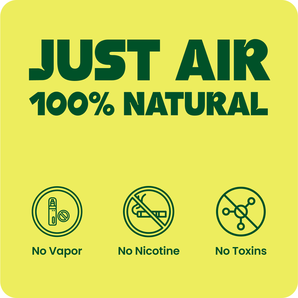 Lio® Journey Pack