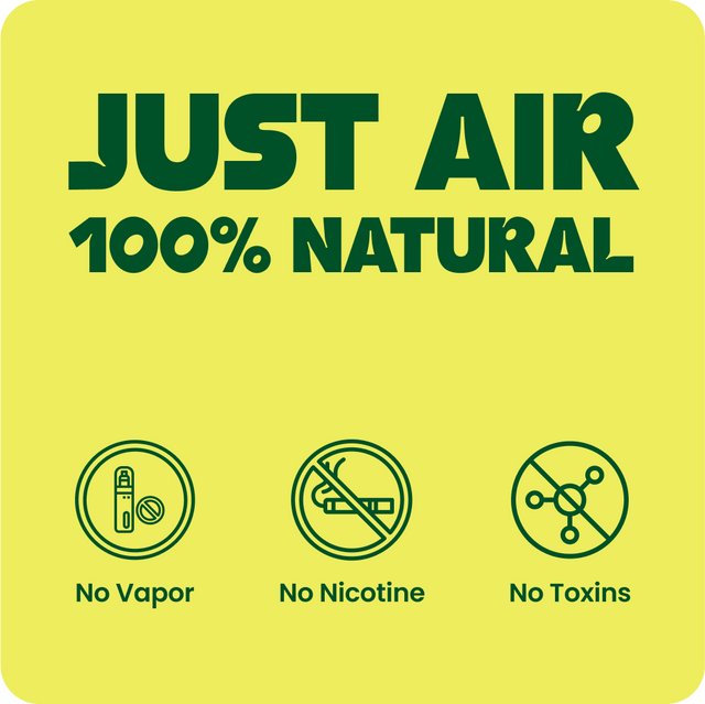 Lio® Journey Pack
